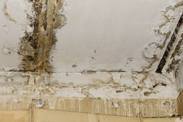 24/7 water damage repair